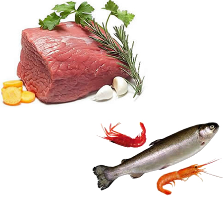 肉食品水產(chǎn)品烘干機、肉脯烘干設(shè)備、肉類烘干設(shè)備